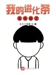 我的进化条又卡住了怎么办