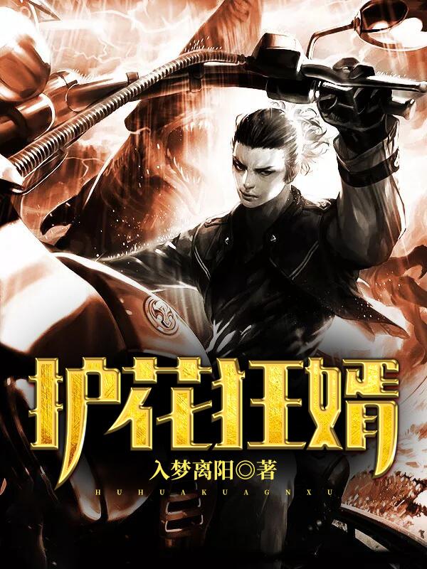 护花狂少免费阅读 护花狂少免费阅读