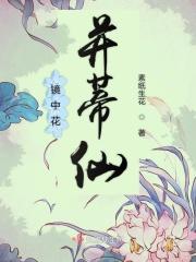 什么叫镜中花