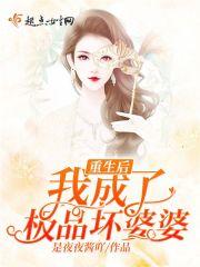 重生后我成了极品坏婆婆晋江