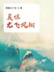 龙飞凤翔打一最佳生肖