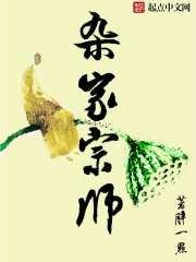 杂家宗师 胖一点TXT