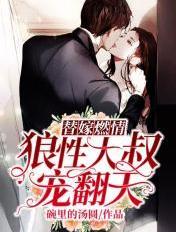 替嫁小妻狼性大叔夜夜疼 作者迪娜 替嫁小妻狼性大叔夜夜疼 作者迪娜