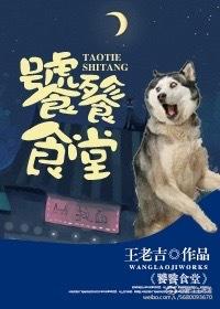 饕餮食堂游戏攻略大全
