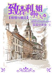 傲慢与偏见之宾利 傲慢与偏见之宾利