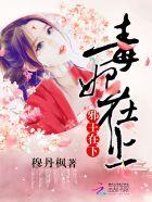 毒妃在上王爷在下演员表 毒妃在上王爷在下演员表
