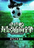 绿茵之巅球员最高多少级