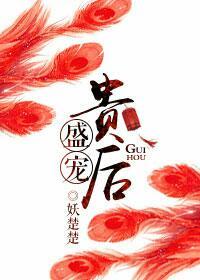 盛宠简介 盛宠简介