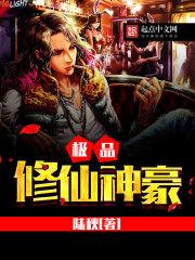 极品修仙高手百科