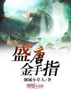 盛唐笔趣阁 盛唐笔趣阁