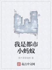 我是都市小蚂蚁的