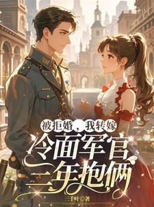 我转嫁冷面军官三年抱俩 作 我转嫁冷面军官三年抱俩 作