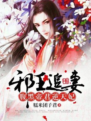 邪王追妻帝少介绍 邪王追妻帝少介绍