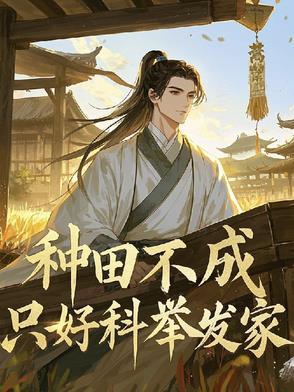 只好科举致富i