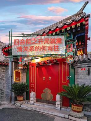 四合院开局休了何雨水