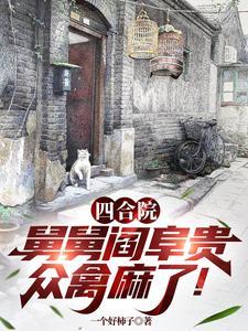 四合院 主人身份 四合院 主人身份