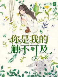 我是你触不可及的梦