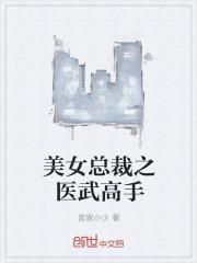 美女总裁的医神赘婿笔趣阁