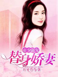 替身宝贝帝少的小夜妻