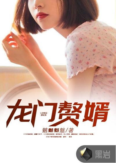 龙门赘婿完整版