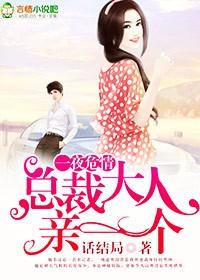 一一夜锁情总裁大人请温柔 一一夜锁情总裁大人请温柔