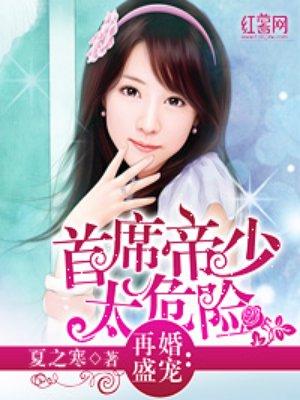 再婚盛宠纪 再婚盛宠纪