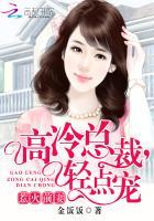 惹火前妻总裁老公追不停 惹火前妻总裁老公追不停