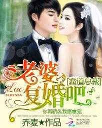 霸道总裁老婆复婚吧 第53章 霸道总裁老婆复婚吧 第53章