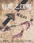 射雕之江湖美人天下全集免费 射雕之江湖美人天下全集免费