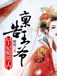 王妃爬墙了txt
