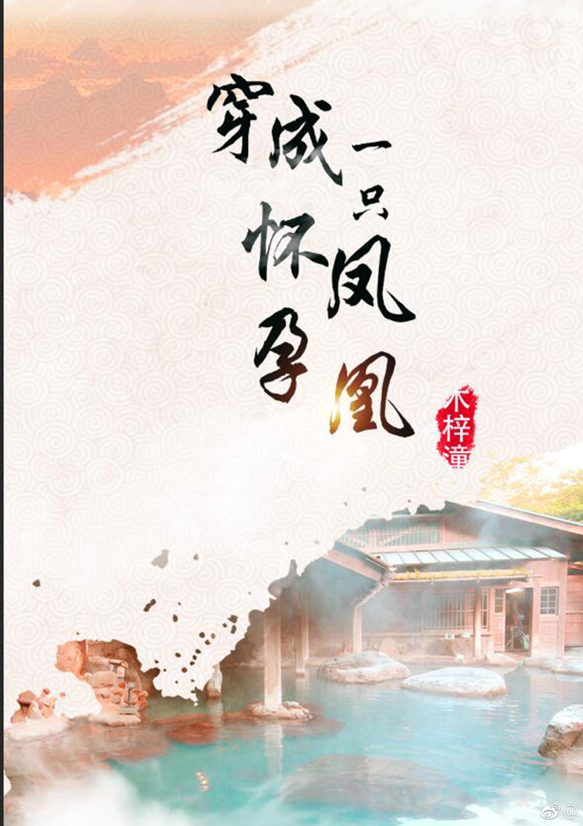 穿成已怀孕 穿成已怀孕