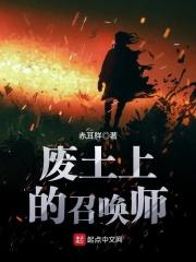 废土上的召唤师顶点 废土上的召唤师顶点