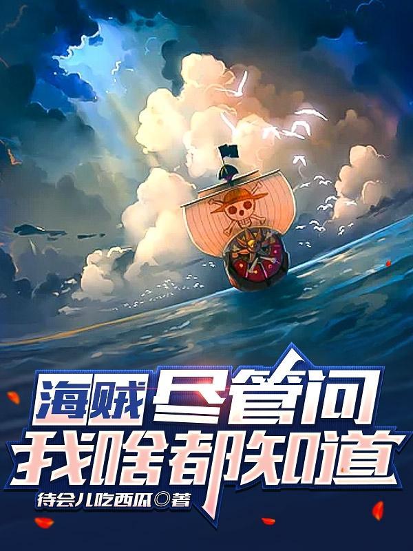 海贼王十二真打 海贼王十二真打