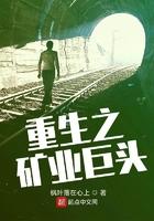重生之矿业巨头 第361章 重生之矿业巨头 第361章