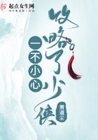 一不小心攻略了起点渣男笔趣 一不小心攻略了起点渣男笔趣