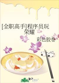 全职高手黑客也玩荣耀柴初夏