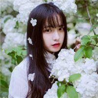 总裁骗爱成婚全文免费阅读