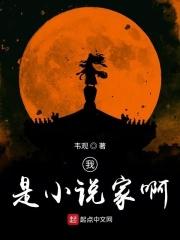 我是小说家啊 我是小说家啊