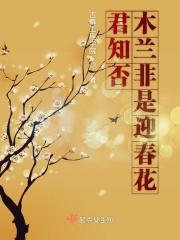 君知否木兰非是迎春花 君知否木兰非是迎春花