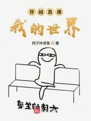 穿越直播我的世界 穿越直播我的世界
