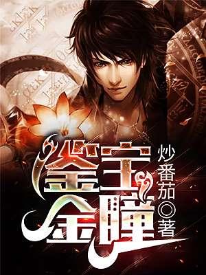 鉴宝金瞳 鉴宝金瞳