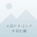 只要把你们全都熬死,我就能无敌 只要把你们全都熬死,我就能无敌