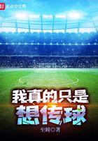 我真的只是想传球 我真的只是想传球