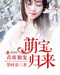首席独宠萌宝归来 首席独宠萌宝归来