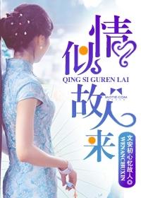 情似故人来 情似故人来